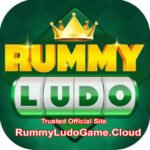 Rummy Ludo